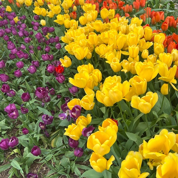 ❤️LIKE to be notified when I go LIVE ❤️ - Picture 8 of 16